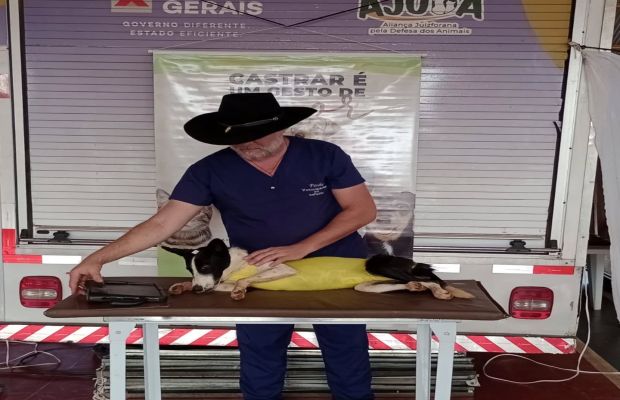 Prefeitura e Vale promovem castração gratuita de 50 animais em Quartel Geral